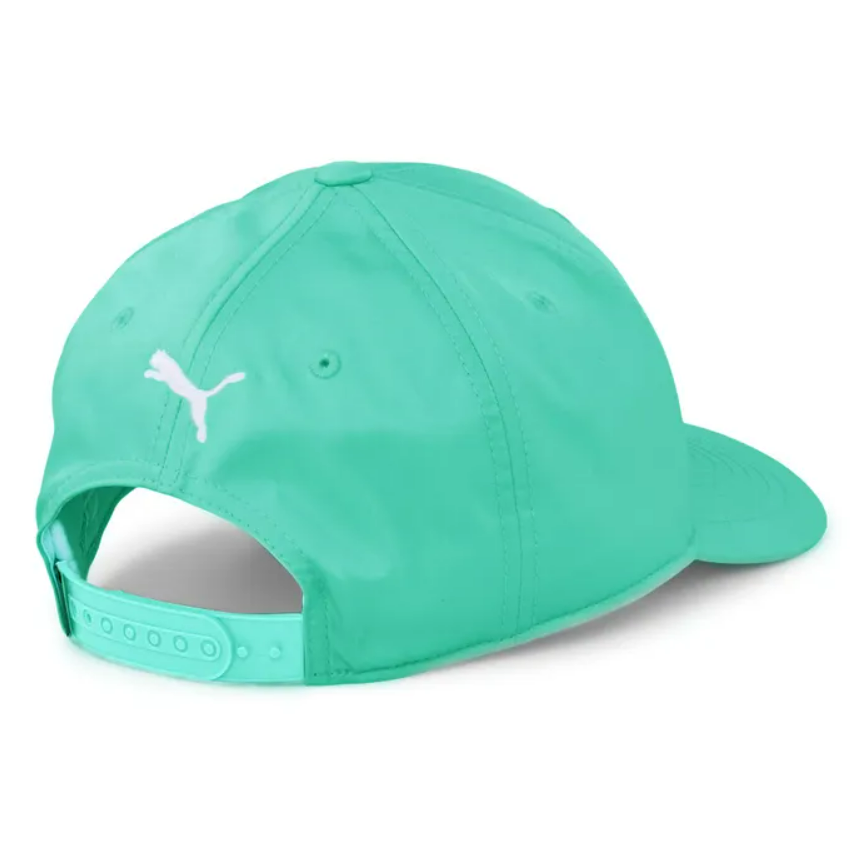 PUMA PALM TREE CREW CAP