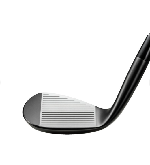 MIZUNO PRO T-1 BLACK IP WEDGE