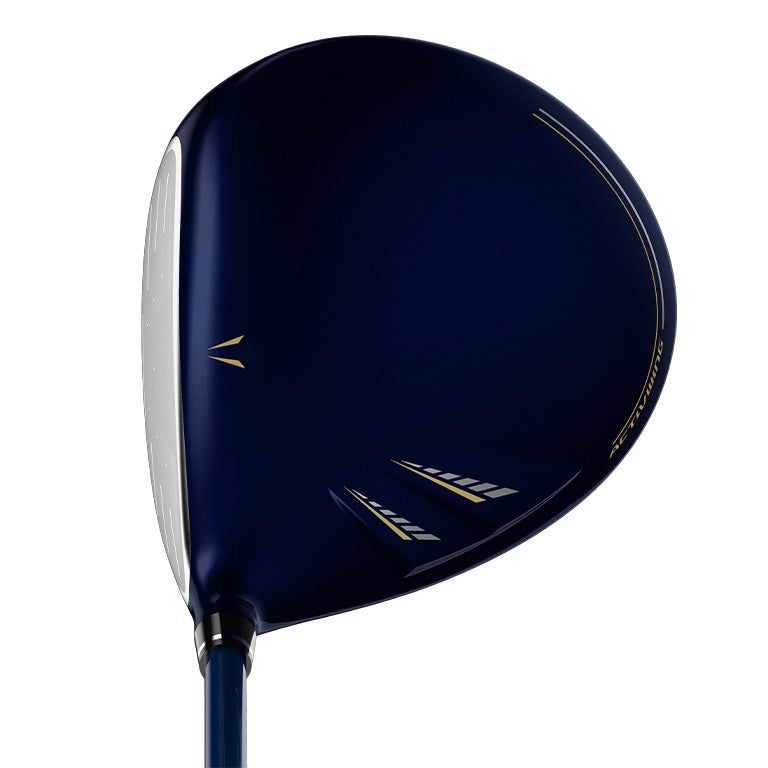XXIO 13 DRIVER